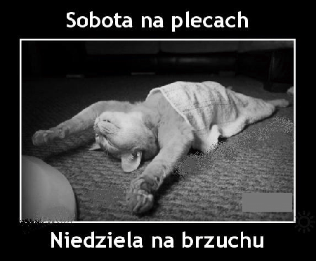 Niedziela na brzuchu